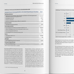 Sektorspezifische Risikoanalyse
