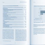 Sektorspezifische Risikoanalyse