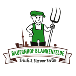 alternative Erklärung